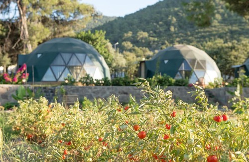 Golturkbuku Hotel | Lusso Glamping Bodrum