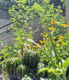 Akhaltsikhe House | Lux Apartmant Tea