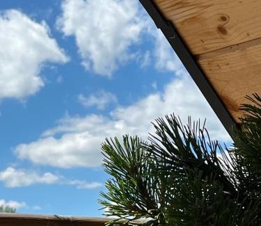 Czarny Dunajec House | Lux House Chochołów