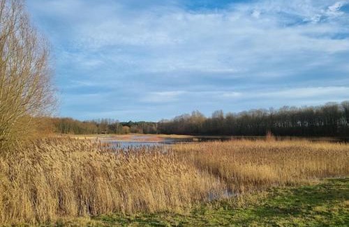 Stekene House | Luxe-Avontuur in een Romantische Cabin in het Bos