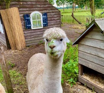 Eersel Ski Chalet | Luxe Finse Kota van de Zandhoef