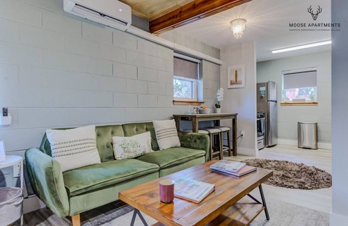 Downtown Memphis Apartment | Luxe King Studio w/Amazing View ~ Free Parking & WiFi