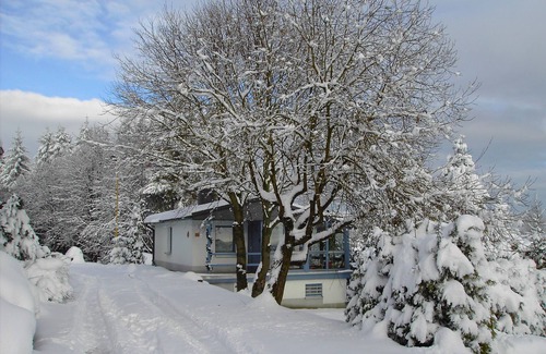 Schnett House | Luxurious house with winter garden, Finnish sauna, wood-burning stove Schnett-Masserberg