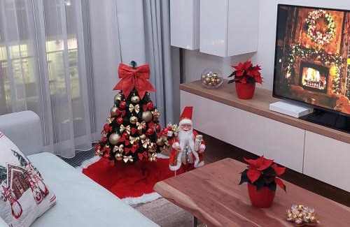 Karlin Apartment | Luxury & air-conditioned Osko Apartment near the city center