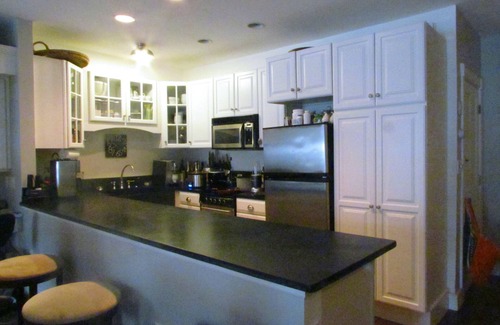 Beacon Hill Apartment | Luxury Beacon Hill 1050 Sf Condo With Private Patio/Garden And Private Entrance