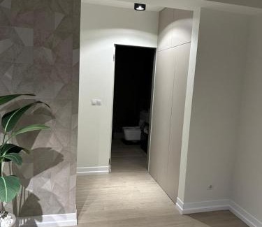 Satu Mare Apartment | Luxury Blue Apartment