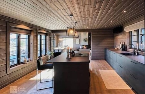 Fla Municipality House | Luxury cabin on Høgevarde, comfort and nature