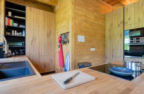 Tauplitz Ski Chalet | Luxury chalet with sauna, terrace and garden