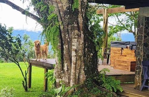 Cerro Azul Cabin | Luxury Ecolodge