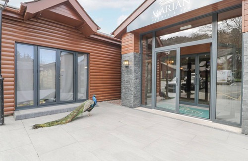 Dyserth Cottage | Luxury Lodge 46