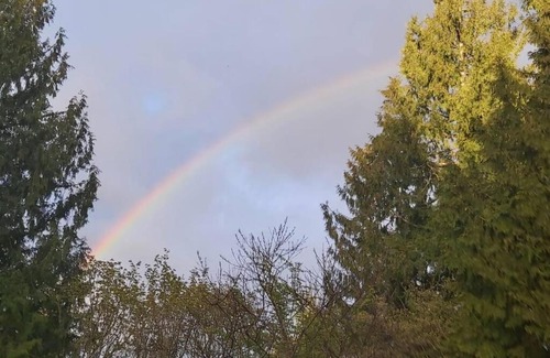 Sammamish Villa | Luxury, modern, Bright villa w/deck, back yard, fire pit