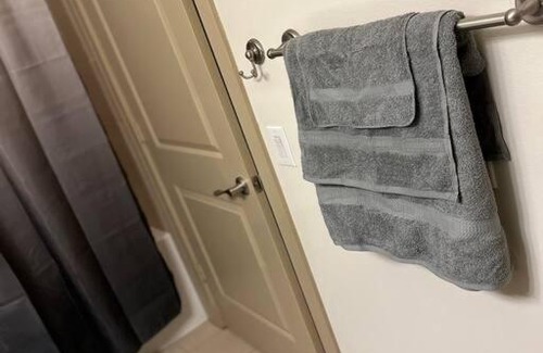 Astrodome Apartment | Luxury One Bedroom located by Med Center/NRG