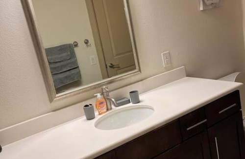 Astrodome Apartment | Luxury One Bedroom located by Med Center/NRG