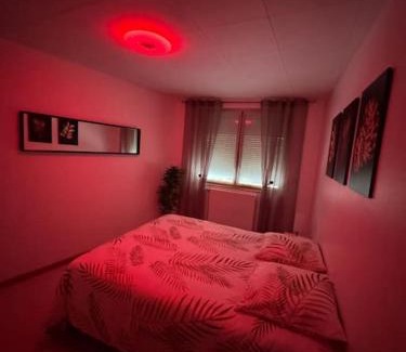 Bar-le-Duc Apartment | Luxury Room - Havre de paix avec jacuzzi privé