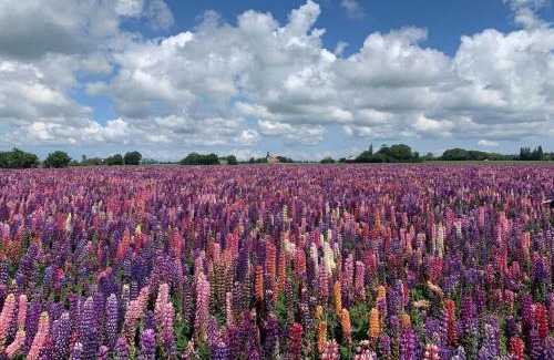 Næsby Strand House | Luxury Spa Retreat in Lolland - By Traum Ferienwohnungen