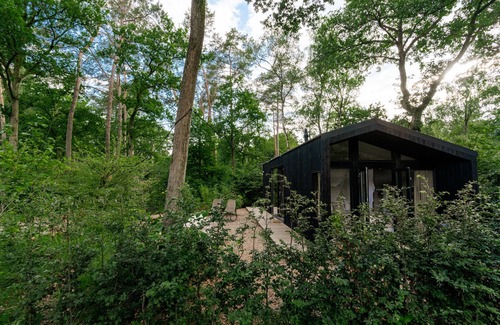 Nunspeet House | Luxury Spa Tiny House with hottub, in the woods, Japandi style