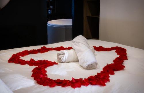 Castres Apartment | Luxury Suite Romantic Getaway with Jacuzzi