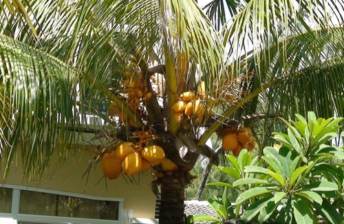 Trou d'Eau Douce Villa | Luxury Villas on the Beachfront. A true Paradise experience.