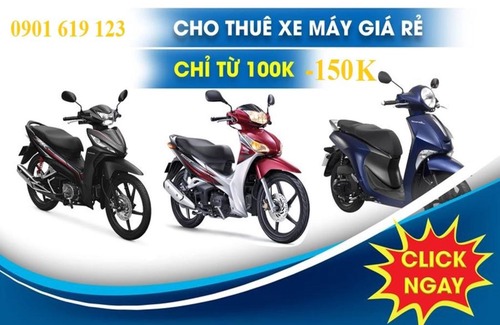 Ly Son Hotel | Ly Tri Ly Son Hotel