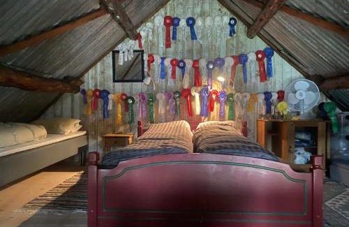 Forsand kommune Apartment | Lysefjorden og Prekestolen Unik og koselig leilighet i stallbygning