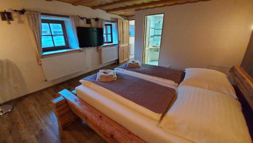 Trencin House | Mária B