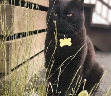 Ryssby Villa | Målaskog gamla station 1