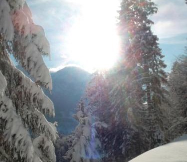 Lofer Ski Chalet | Müllerkaser