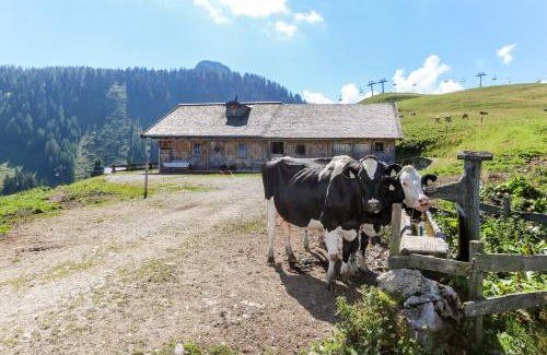 Lofer Ski Chalet | Müllerkaser