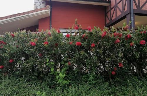 Lezama House | Madarian