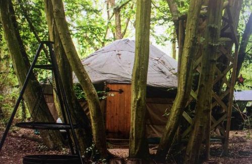 Broad Oak Other | Magical Forest yurt