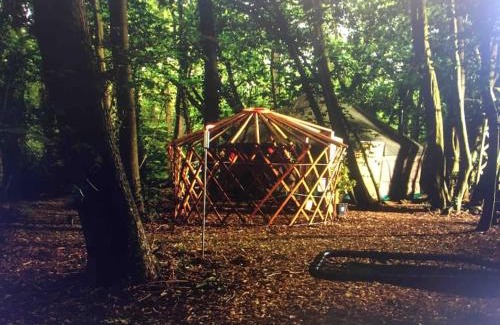 Broad Oak Other | Magical Forest yurt
