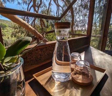 Lagos Other | Magical Treehouse