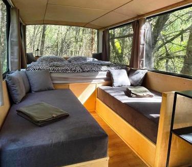 Liptovsky Jan Other | Magicbus