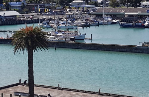 Gisborne Apartment | Magnificent Harbour Views 405