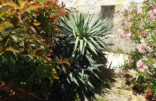 Saint-Andre-de-Cubzac House | Maison a Louer Situé au Bord de la Dordogne