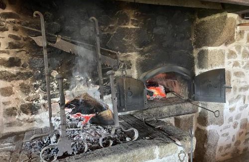 Laprugne House | Maison Authentique avec Jardin et Cheminée, Animaux Acceptés, Parking, Internet - FR-1-489-184