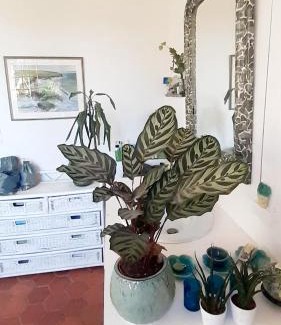 Saint-Saens Bed & Breakfast | Maison d'Hôtes Archangels Home