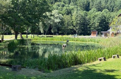 Soucht House | Maison d'hôtes en pleine nature avec chevaux
