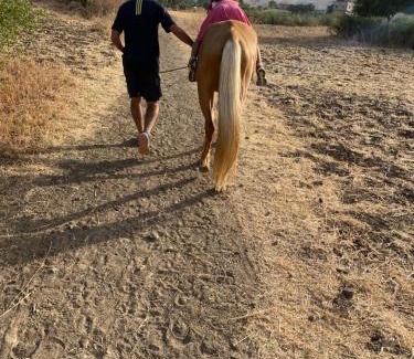 Oued El Makhazine Bed & Breakfast | Maison d'hotes oued el Makhazine chez Bilal