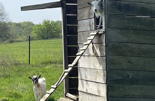 Fosses-et-Baleyssac House | Maison DE Campagne Avec Piscine ET Parc Arbore