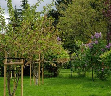 Ceton Bed & Breakfast | Maison de Paille