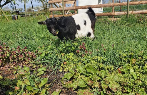 Hesse House | Maison de Village Avec Jacuzzi Privé