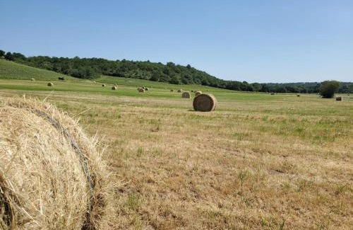 Loire Layon Aubance House | Maison du Domaine (Gîte)