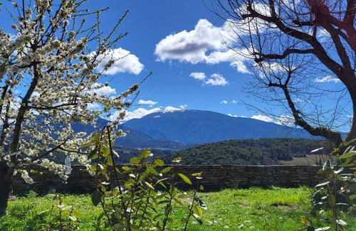 Faucon House | Maison en Provence Avec Jardin Arboré et vue sur le Mont Ventoux