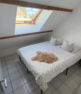 Lagny-sur-Marne House | Maison familiale près de Disney