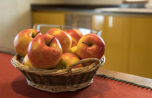 Plan D'introd House | Maison Lo Triolet