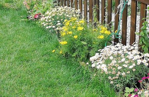 Aymavilles Bed & Breakfast | Maison Serendipity