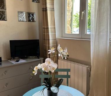 Chateauneuf-du-Rhone Bed & Breakfast | Maisonnette indépendante au calme dans un grand jardin