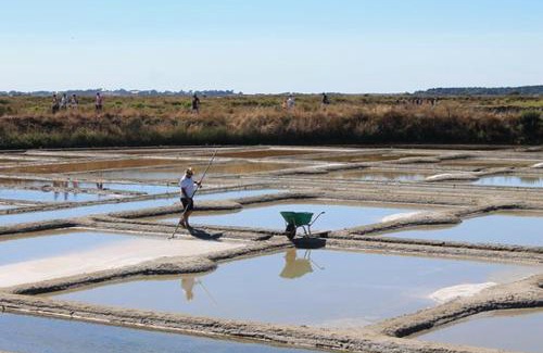 Saint-Malo-de-Guersac Apartment | Maisonnette entre terre et mer