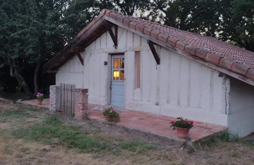 Campagne House | Maisonnette vue sur forêt